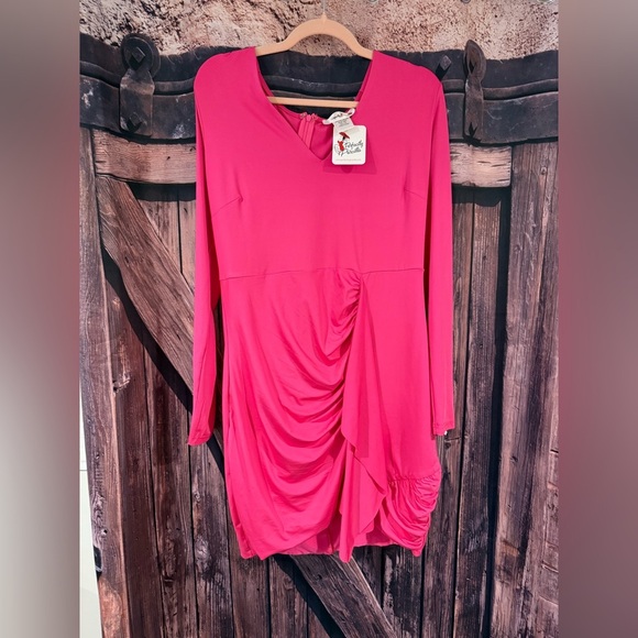 Dresses & Skirts - BNWT Chic Pink Long Sleeve Dress
